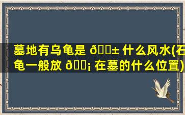 墓地有乌龟是 🐱 什么风水(石龟一般放 🐡 在墓的什么位置)